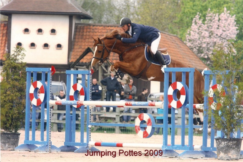 cyclus Jonge paarden Massenhoven